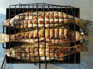 How to cook pike perch on the grill