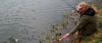 How to fish with a Moscow rig - the secrets of fishing with a retractable leash