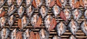 How to make dried fish