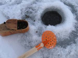how to collect mormysh in winter