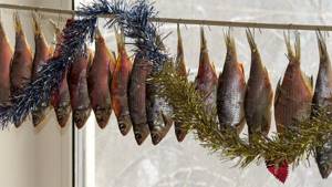 How to Preserve Dried Fish