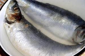 How to salt herring in brine with oil.