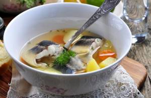How to cook sterlet soup at home