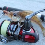 How to choose a spinning reel based on various characteristics