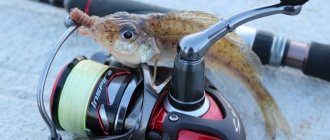 How to choose a spinning reel based on various characteristics