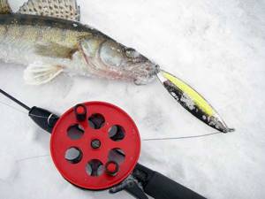 How to choose spoons for winter fishing