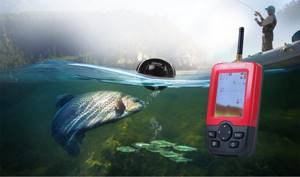 How to choose an echo sounder for fishing