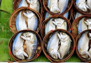 How to choose mackerel