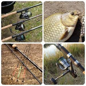 how to choose suitable tackle for bream