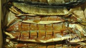 How to smoke pike, simple and popular recipes