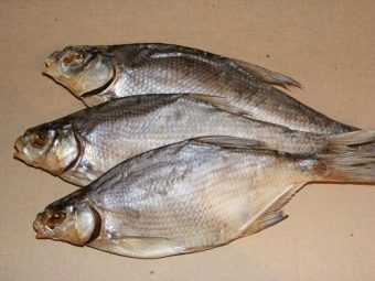 How to pickle bream? 22 photos How to deliciously salt large fish for drying and smoking at home? How to properly cook bream balyk? 