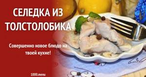 How to salt silver carp at home in the form of herring