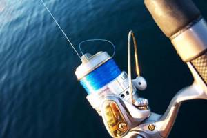 Which fishing line is best for trout spinning?