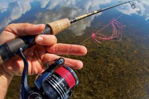 Which fishing line is best for spinning for pike and perch?
