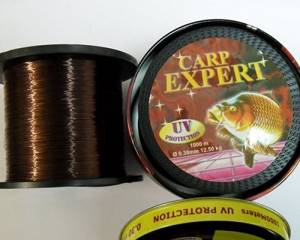 What is the best fishing line for crucian carp and how to choose it