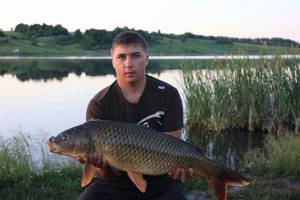 What fish are found in the reservoirs of the Oryol region