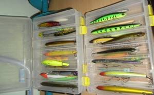 what color wobbler is the best for pike