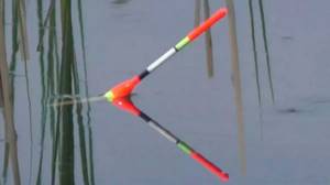 Crucian carp on a fishing rod on the river