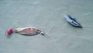 The castmaster is the best spinner for catching asp, and the fly-wabik is a good addition to the equipment