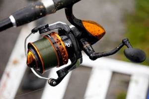 Reels for feeder tackle