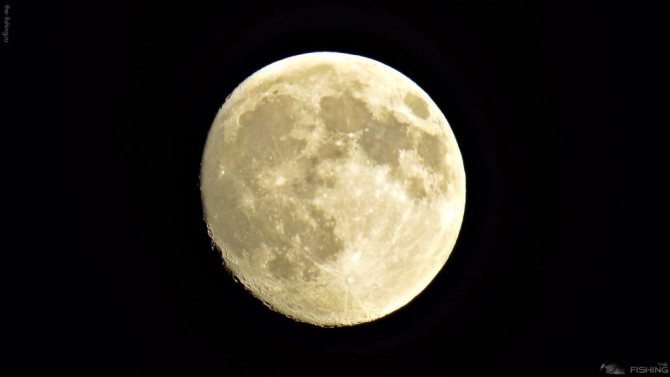 Клев судака в полную луну ночью
