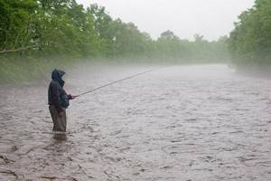 Do fish bite after rain and thunderstorms?
