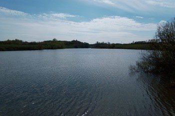 Knyazevsky pond photo