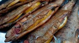 Grilled smoked fish