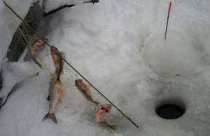 косынка рыболовная зимняя