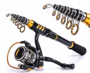 Criteria for choosing a spinning rod