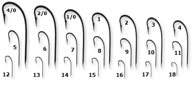 Hooks numbering