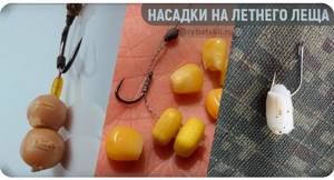 Corn and maggot on a hook