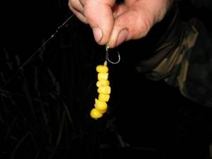 Corn in the amount of 5-10 pieces can be used on a hair rig together with a carp hook.