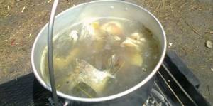 pieces of silver carp are boiled in a cauldron