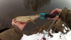 Lipgrip for pike