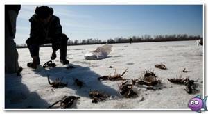 catching crayfish in January