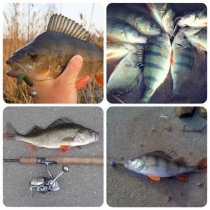 jig fishing at different times of the year