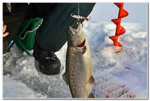 trout fishing from ice