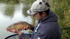 fishing for carp on a feeder