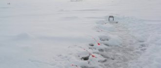 Catching smelt in winter on the Gulf of Finland