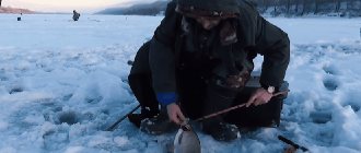 Ловля леща зимой на течении
