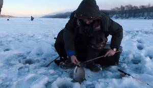 Catching bream in winter on the current
