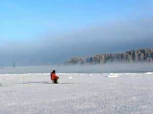 Bream fishing on the Volga. When is the best time to fish: methods and recommendations 