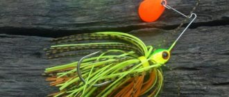 Fishing with a spinnerbait
