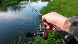 Fishing with a spinner