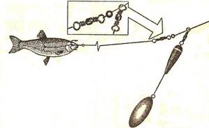 Fishing with live bait from the shore equipment