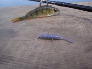 Catching perch with microjig: theory and practice