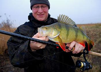 Catching perch with a fishing rod