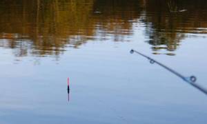Fishing with a float rod in still water
