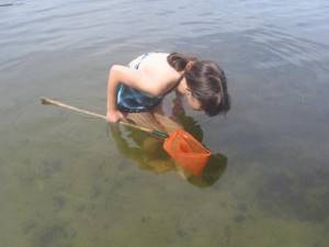 Catching crayfish by hand